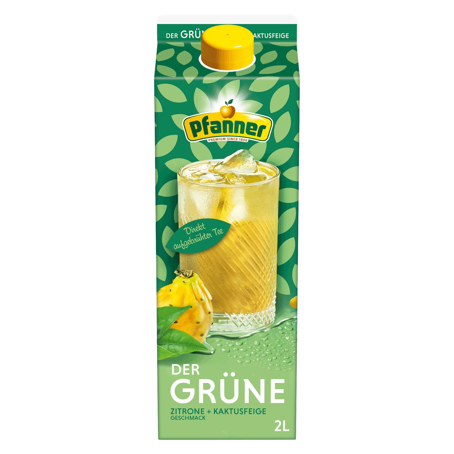 Der Grüne Zitrone-Kaktusfeige 2l 6St