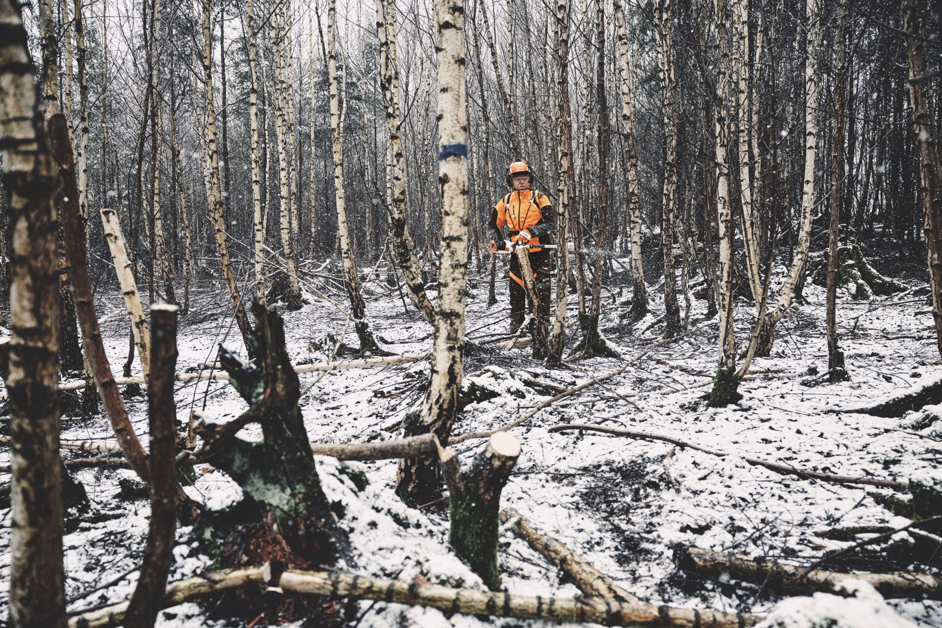 STIHL Akku-Hochentaster HTA 150 Forstvariante