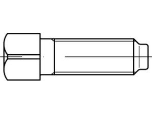 DIN 479 8.8 M 6 x 16 S