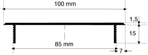Stegblech 100x300 mm, F1 Schlitzlochung 30x5 mm