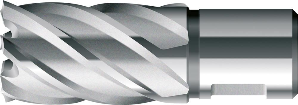 Kernbohrer kurz KBK HSS Schaft Weldon 12/30mm BDS