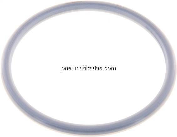 Tankwagenkupplung Dichtung für MK/MB 100, FKM / PTFE vollummantelt