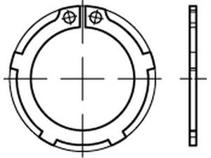 DIN 983 Federstahl 25 x 1,2 S