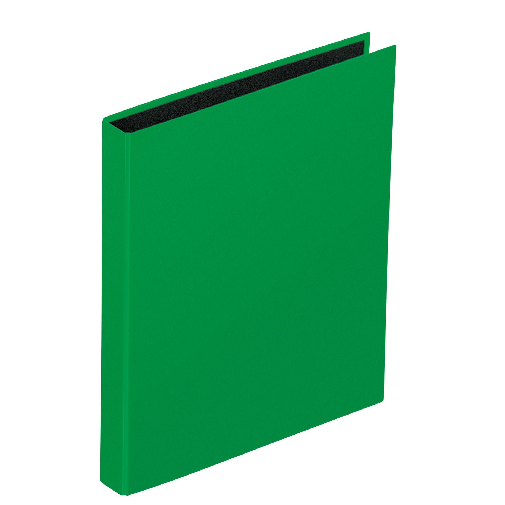 Ringbuch Basic Colours DIN A4 2Ringe PP grün