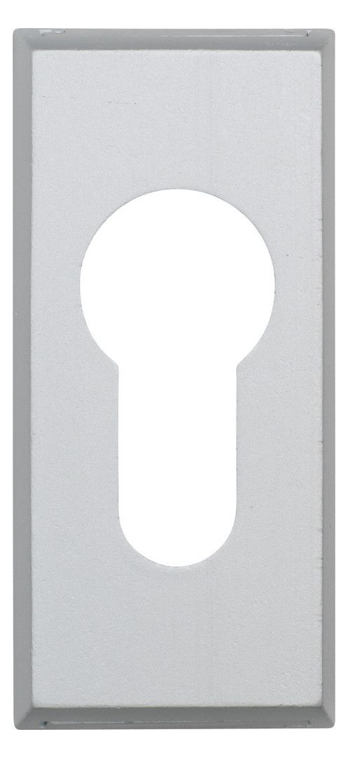 ABUS Schutzrosette "RS309 F1 C/DFNLI"