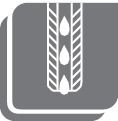 Icon: pim400982__seal.jpg