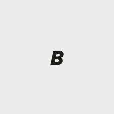 Icon: lag485215__seal.jpg