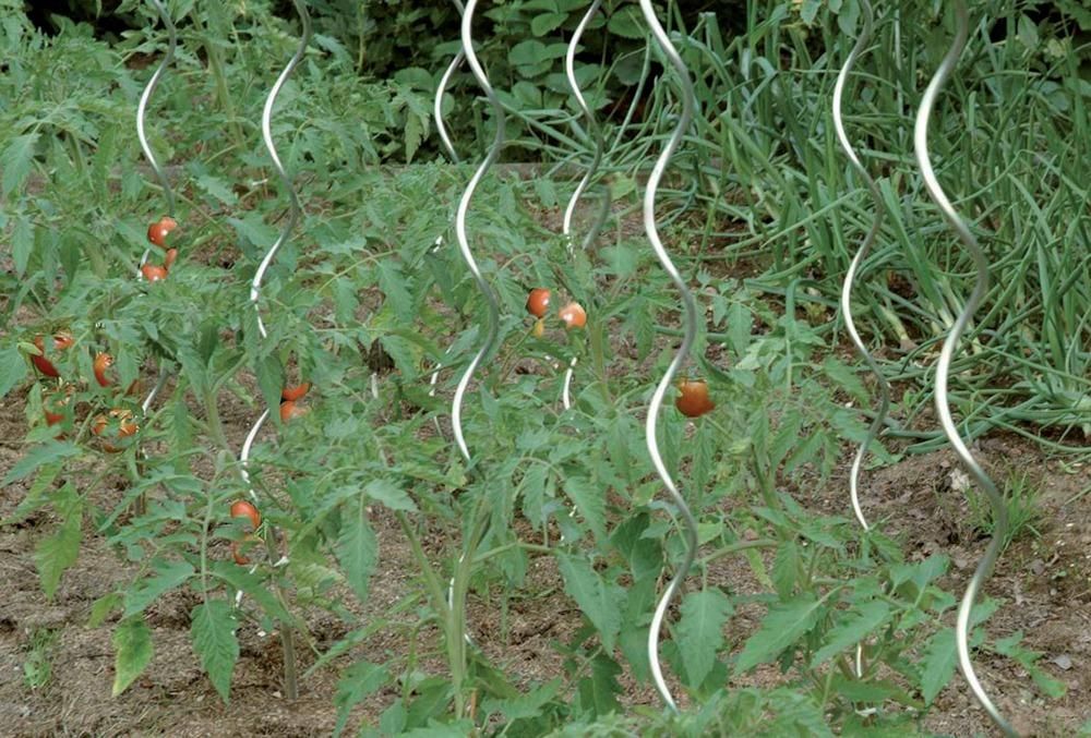 Tomatenspiralstab 150 cm Ø 6,8 mm verzinkt Floraworld