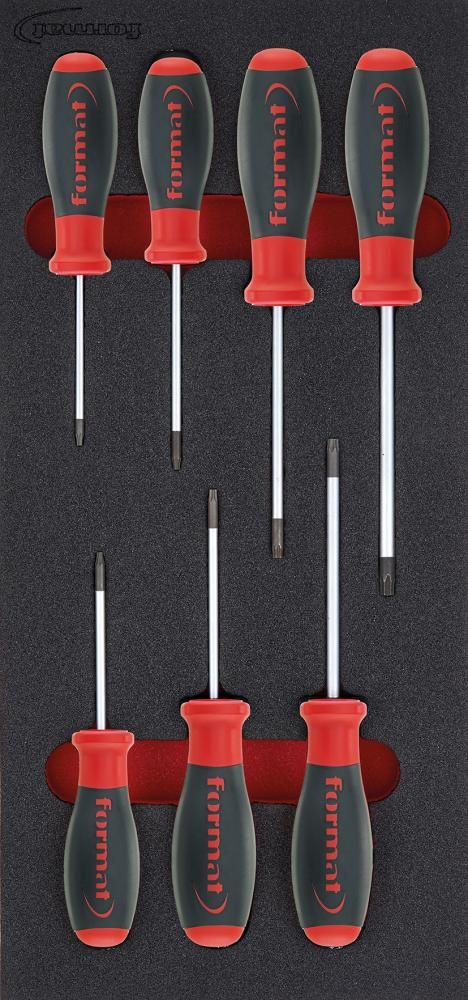 Werkzeugmodul 1/3 Schraubendreher Torx FORMAT