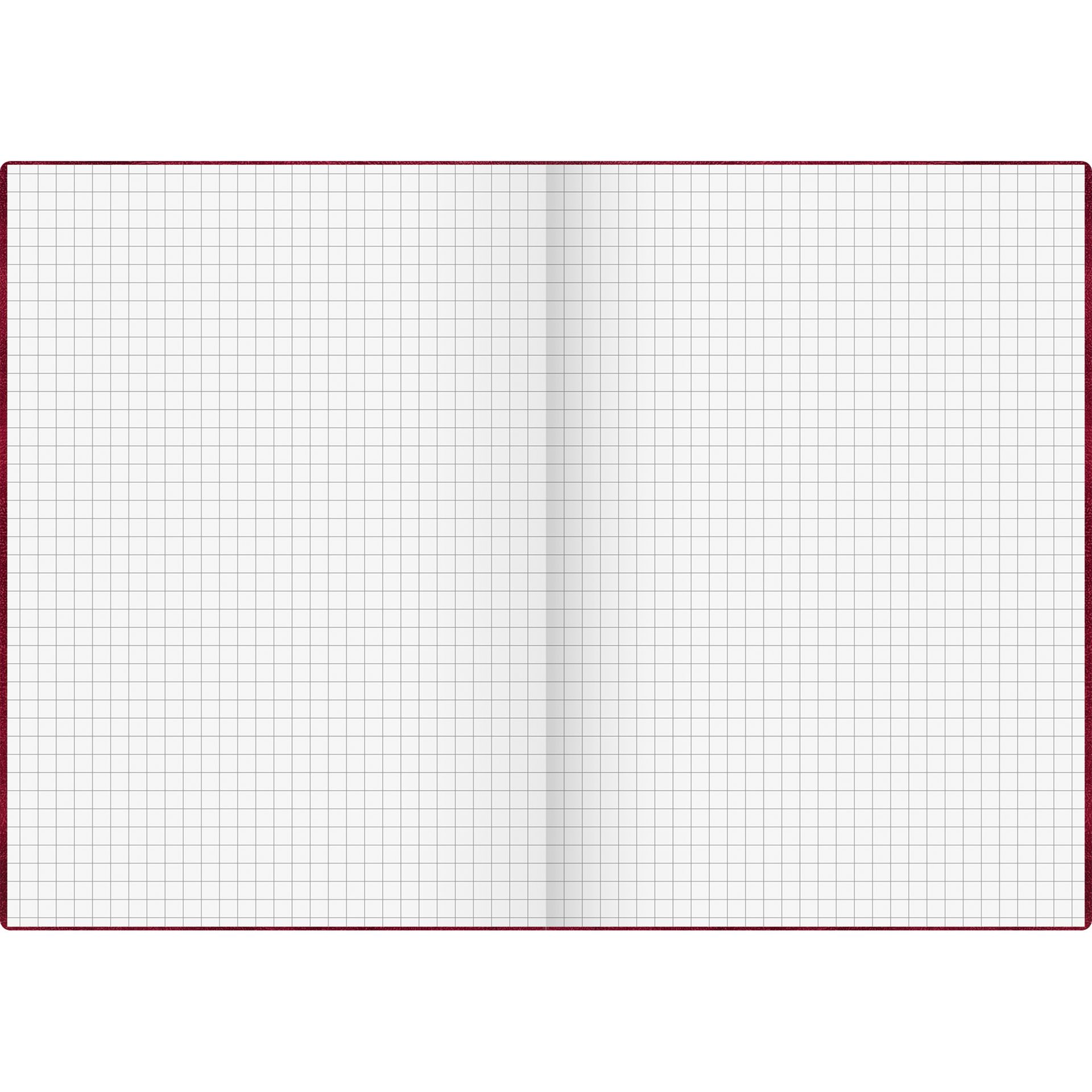 Geschäftsbuch DIN A5 96Bl. kariert