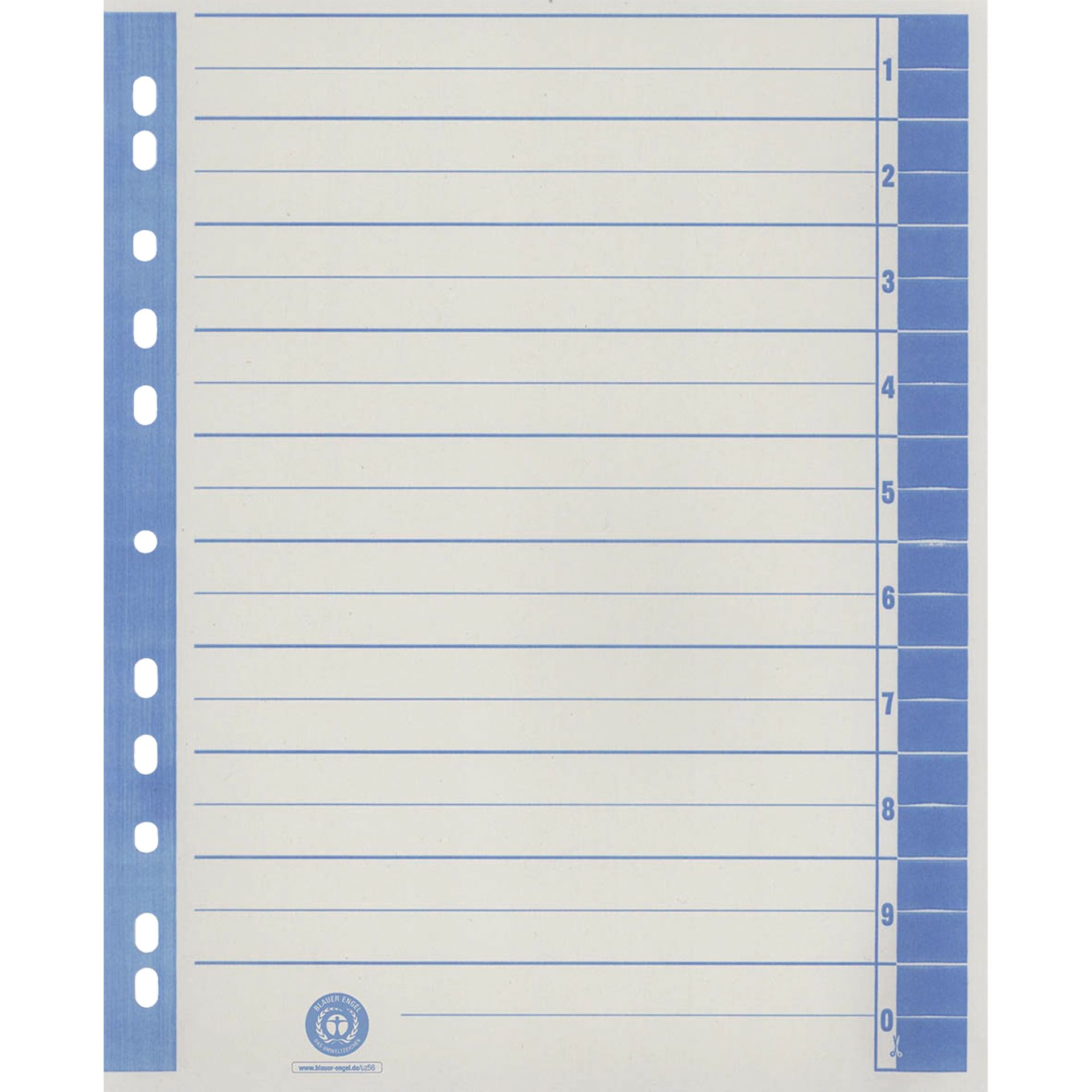 Trennblatt  RC A4 ch/bl 100St