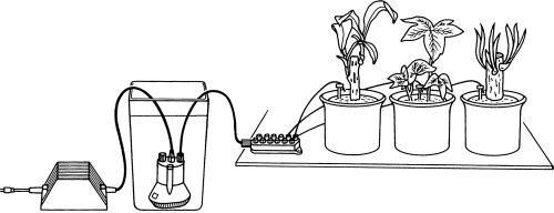 city gardening Urlaubsbewässerung Gardena