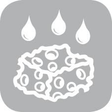 Icon: nextPIM_DE03B30154F5BE749F62ABB7A9754484A3E9B187E922D4C1A493AAB4B27FDF92_6410.jpg