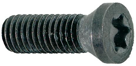 Spannschraube M3,5x10 T15 FORMAT
