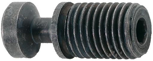 Spannschraube für S32S M8x21 T15 FORMAT
