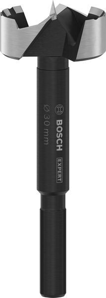 Bosch EXPERT Wood Forstnerbohrer