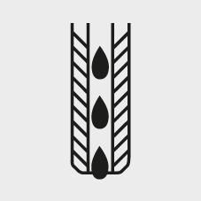 Icon: nextPIM_02CEABD3F499DDD25C53B2EC14BA8844D9ACA204385DF0D100C1F6911D9B8139_5964.jpg