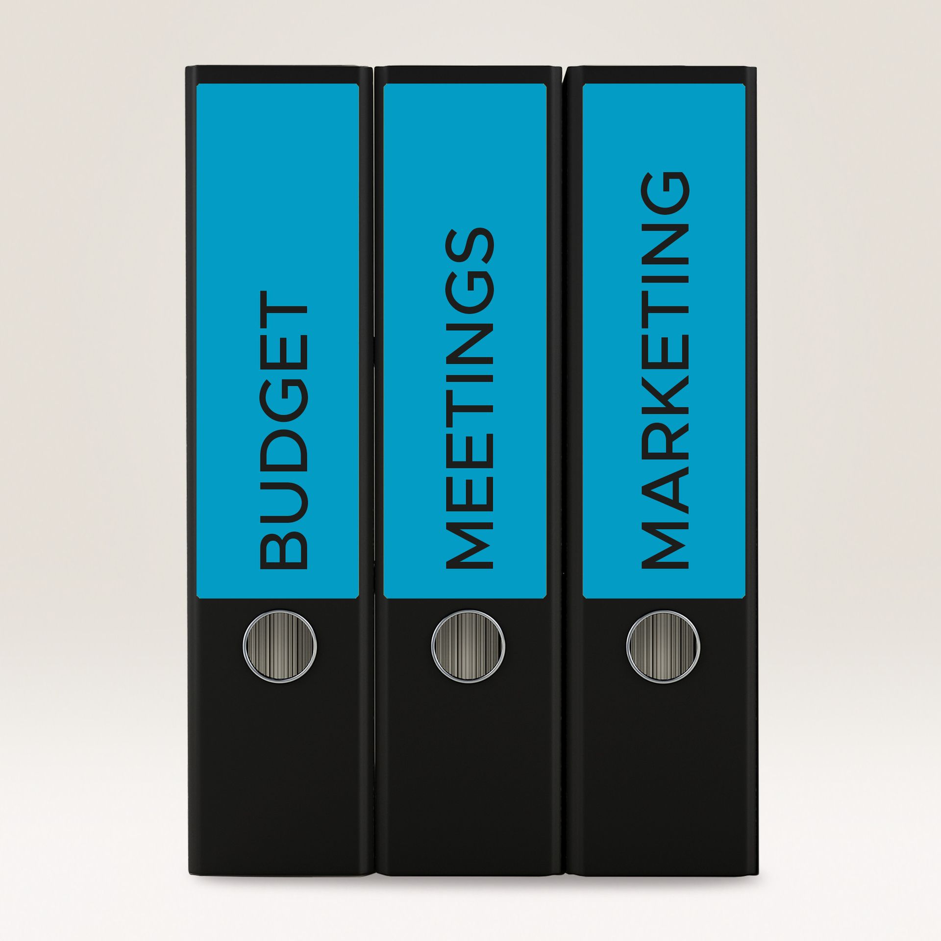 Ordneretikett 61x192mm bl 80 St./Pack.