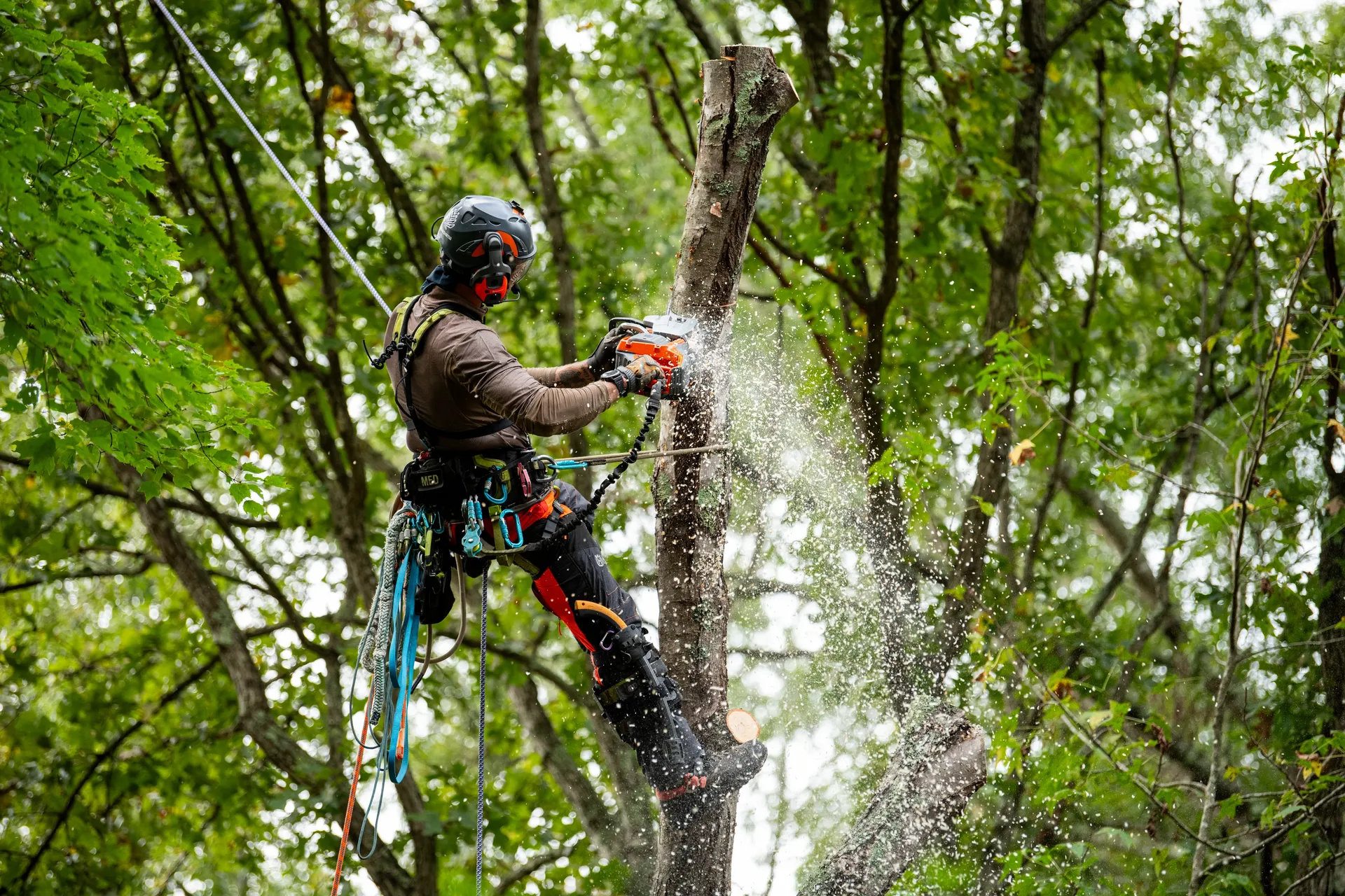 Husqvarna Akku-Motorsäge 550i XP® G