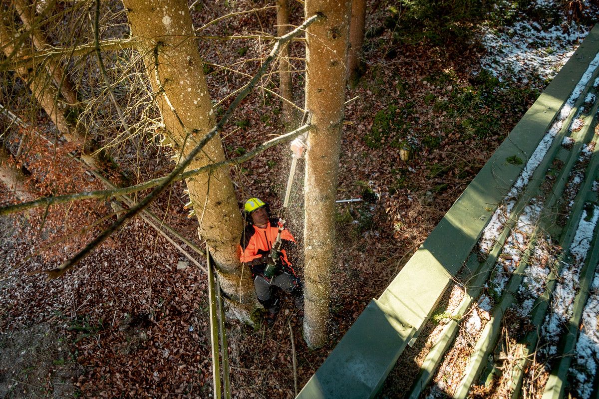 Hochentaster-Aufsatz MA-MS 25 Metabo ohne Akku ohne Ladegerät Karton