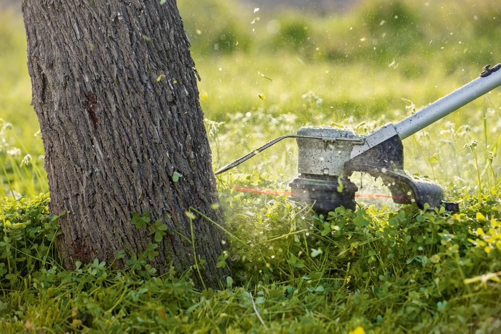 Akku-Rasentrimmer solo GRT 18V-33 Bosch ohne Akku ohne Ladegerät Karton