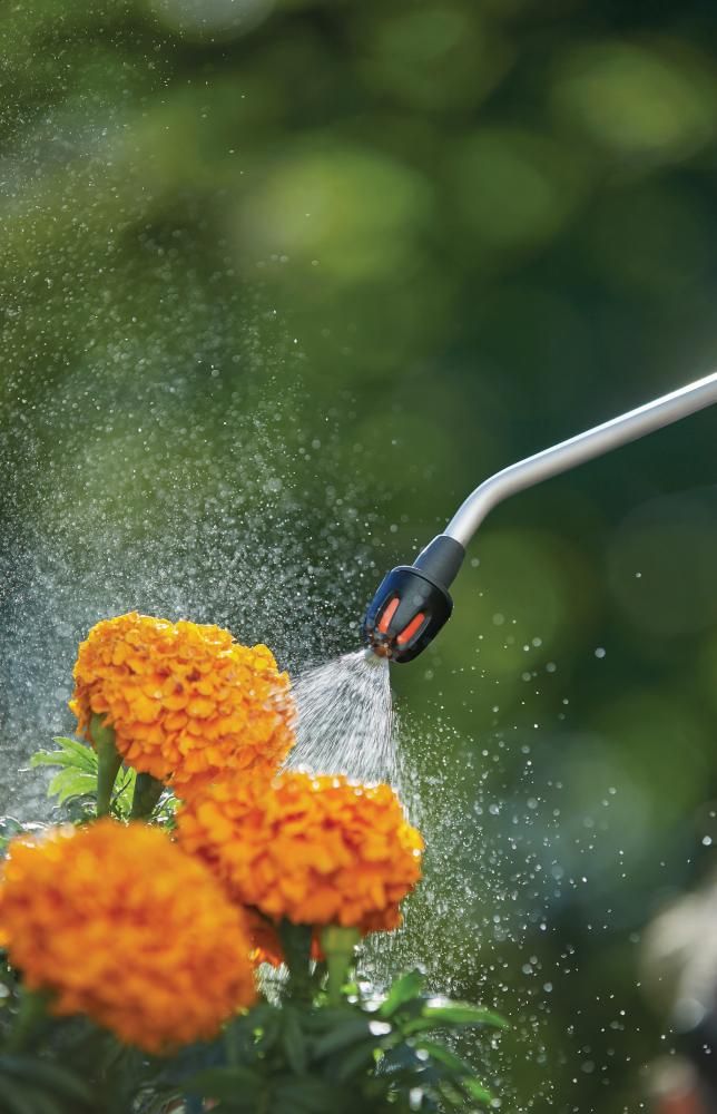 Drucksprüher 5 + Pumpsprüher 0,75 Dispay