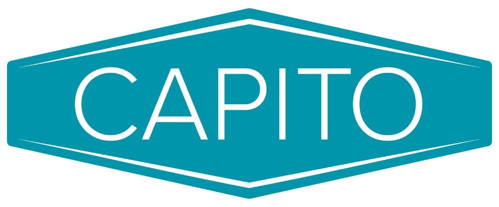 CAPITO Profi-Tiefmuldenkarre