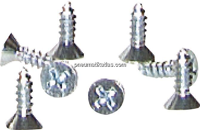Kreuzschlitz-Schraube 4,8 x 13 mm zur Schlauchbefestigung