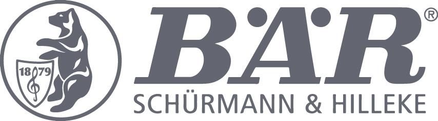 BÄR Fixpin Setzeisen für Einschlagbolzen