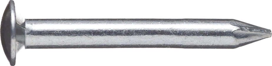 Stahlnagel blau angelass.2,0x 30 BÄR