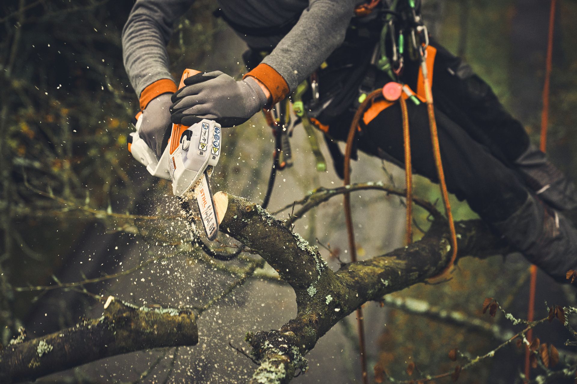 STIHL Schiene L 15cm/6" 1,1mm/0.043"
