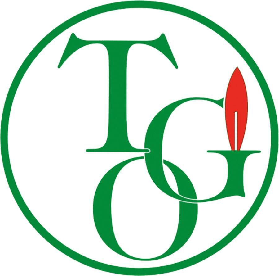 TGO Aufschweiß + AbflammgerätPromotion S1