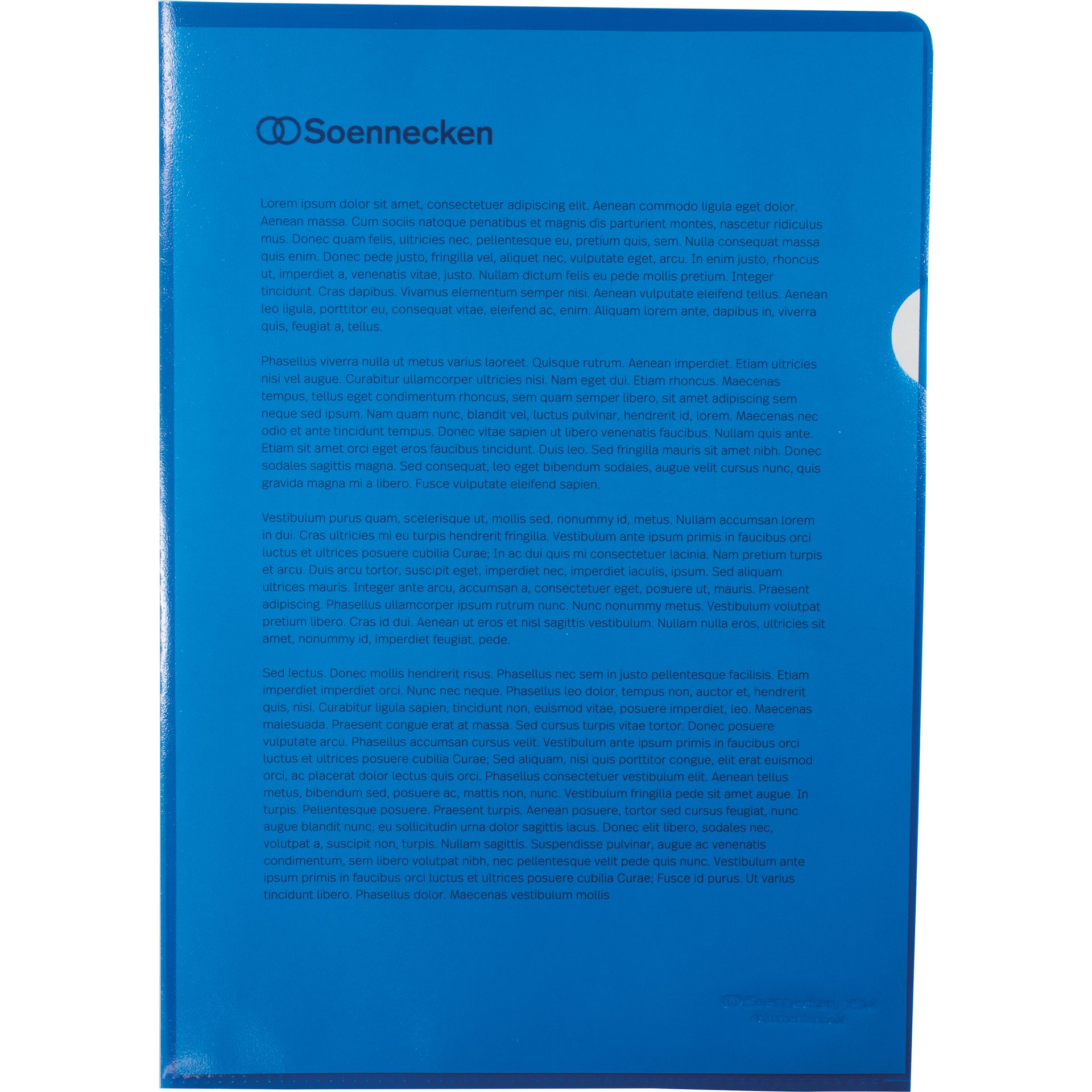 Sichthülle DIN A4 PP blau 100 St./Pack.