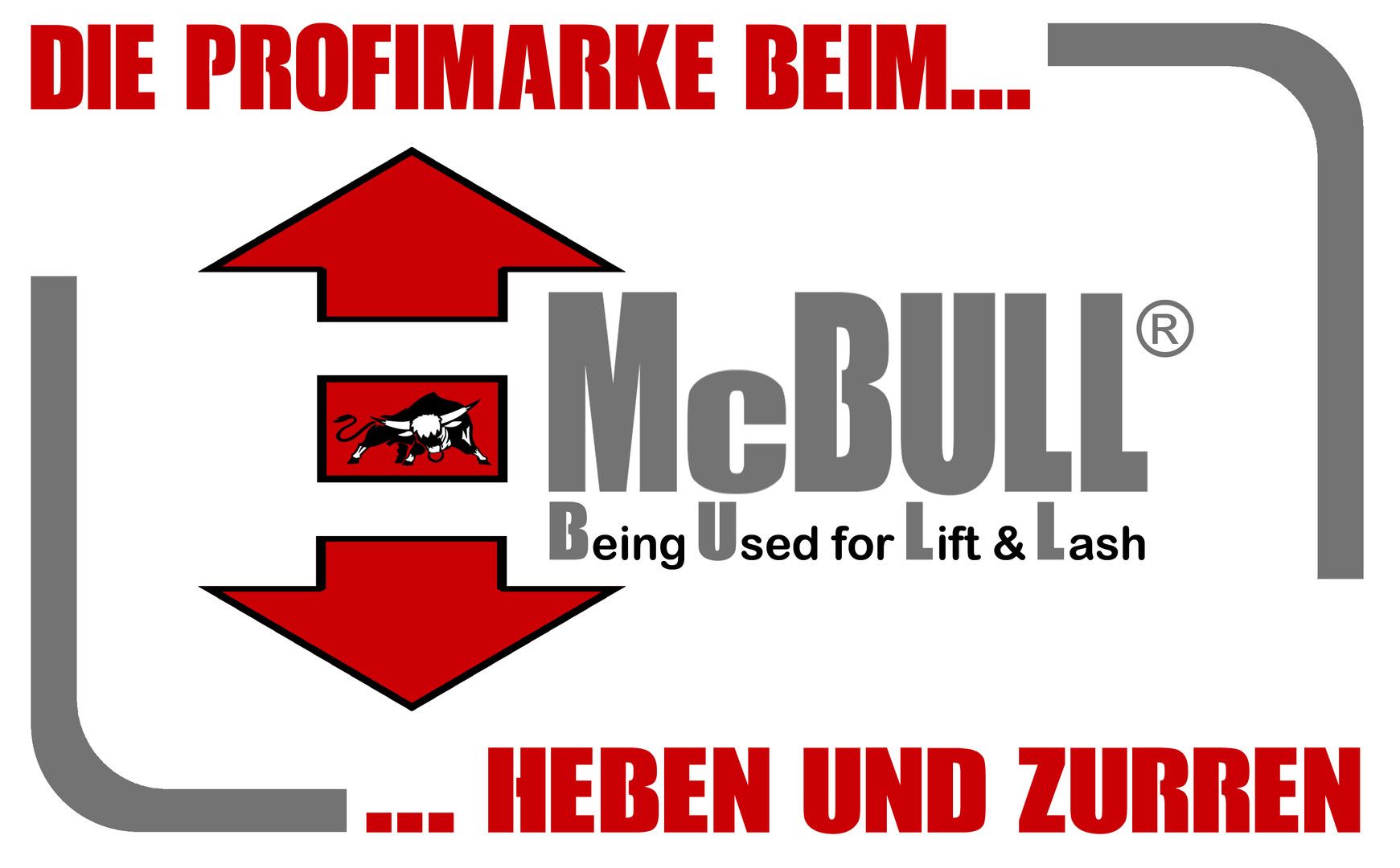 hochfester Schäkel, Form: A
