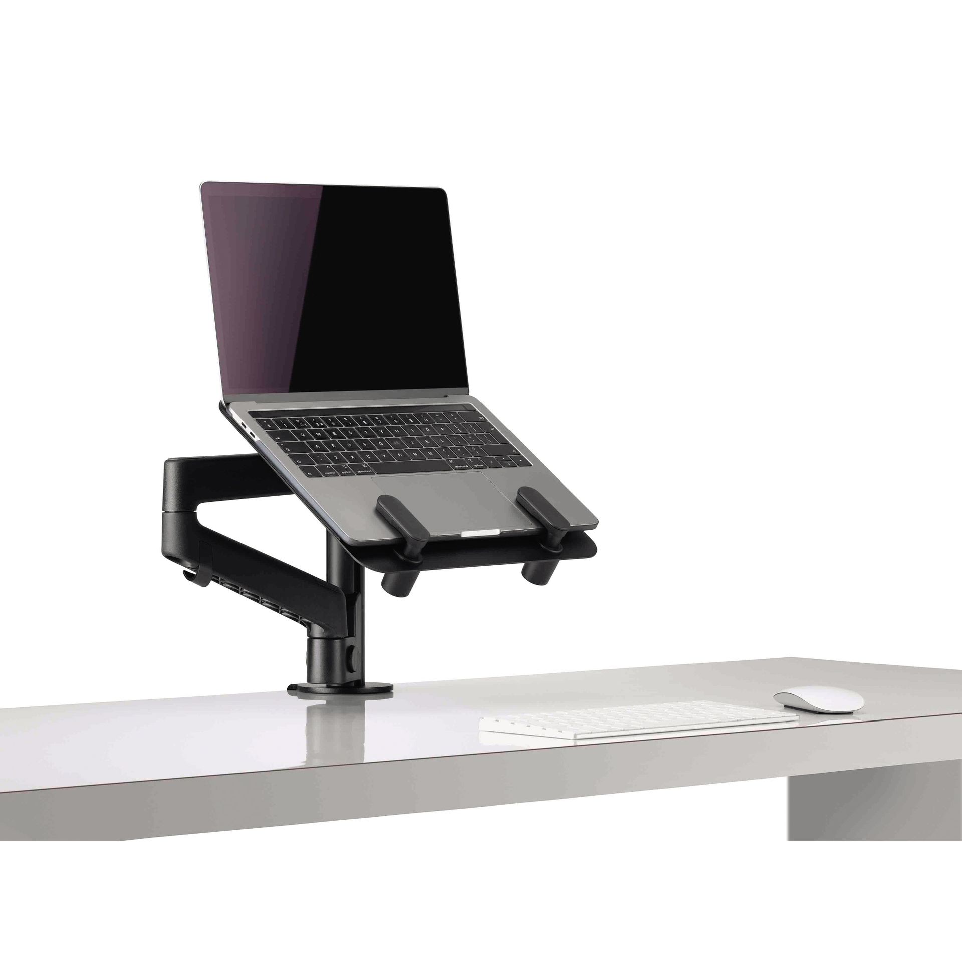Laptoparm sw