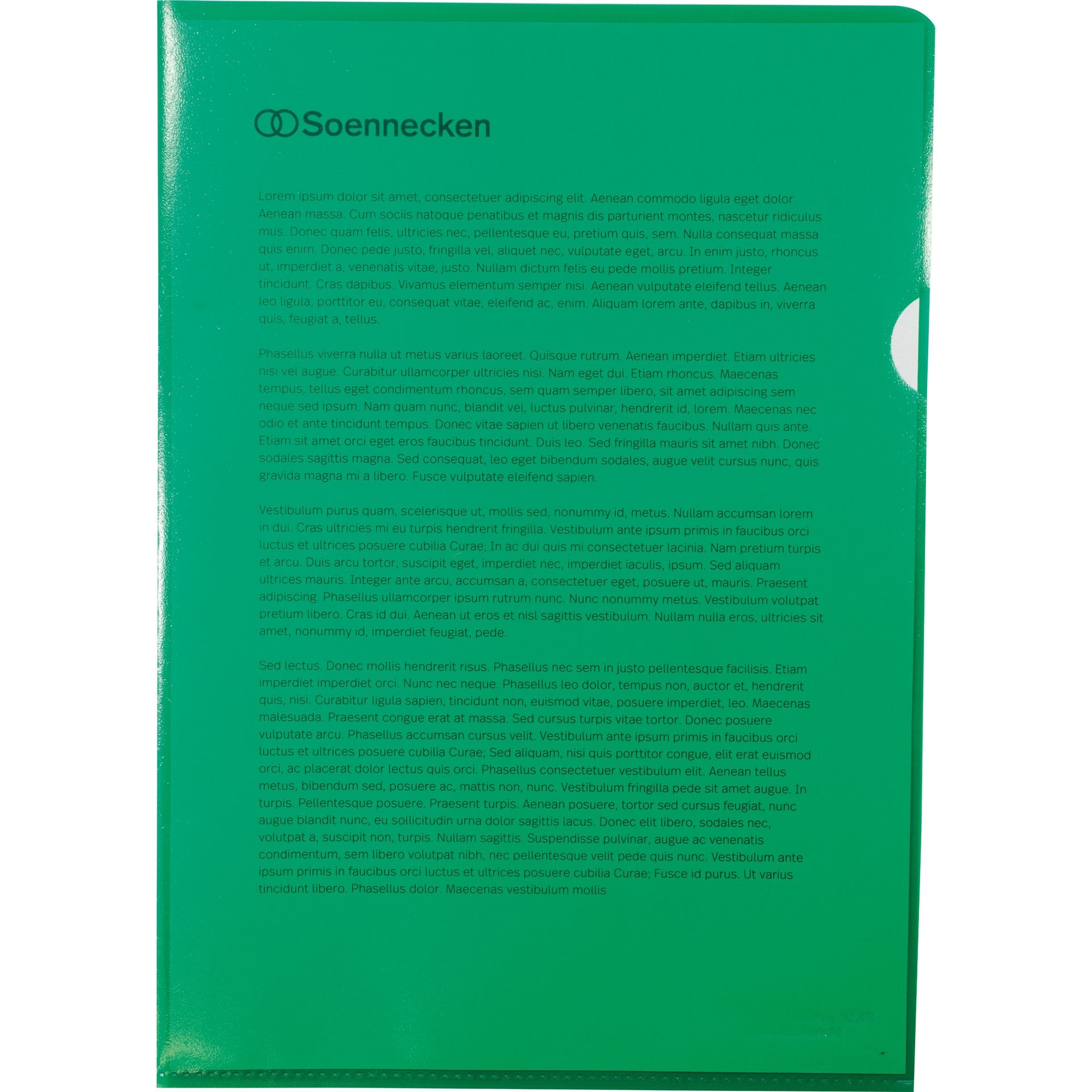 Sichthülle DIN A4 PP grün 100 St./Pack.