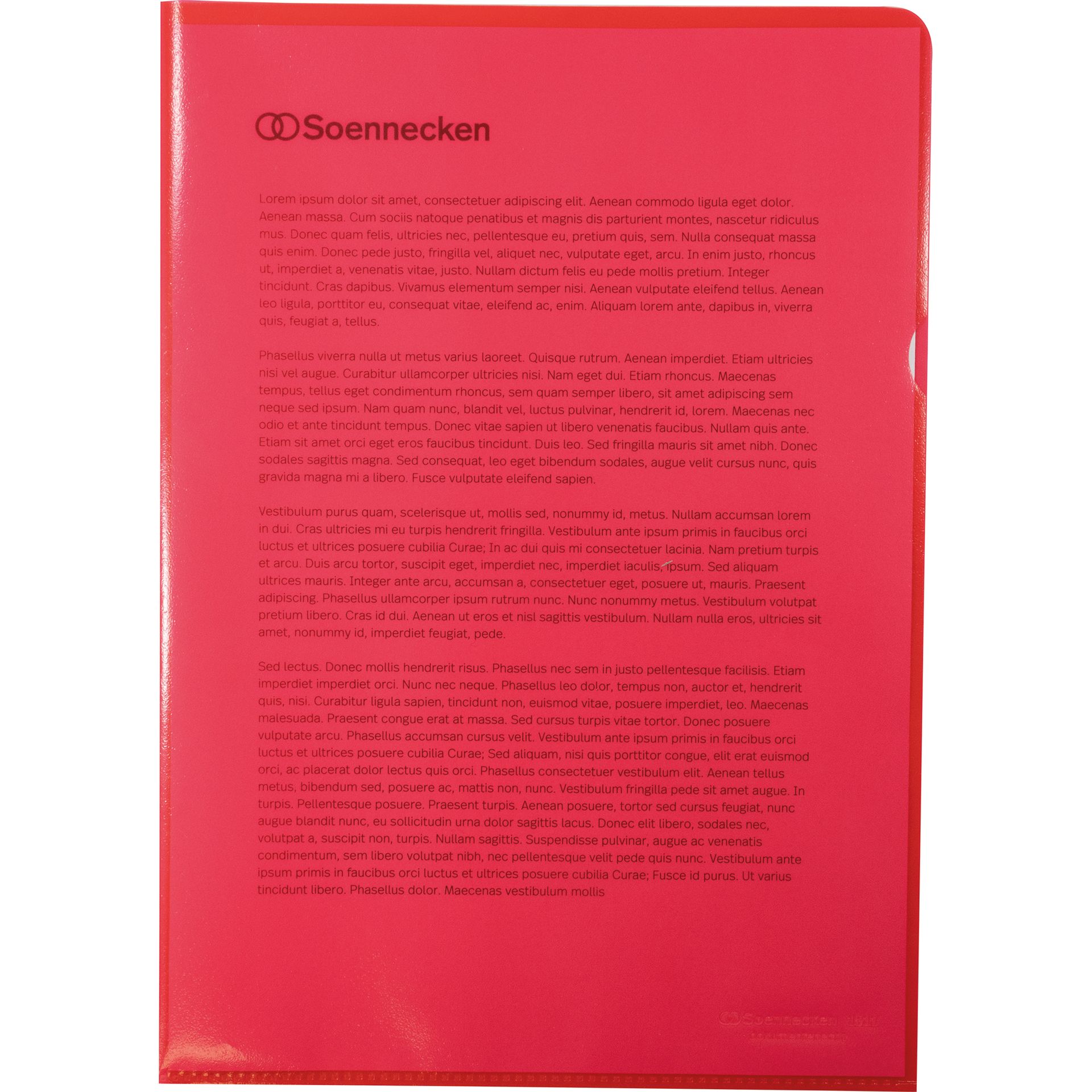 Sichthülle DIN A4 PP rot 100 St./Pack.