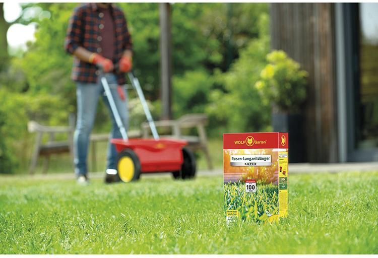 Rasen-Langzeitdünger Premium LN 100 2 kg