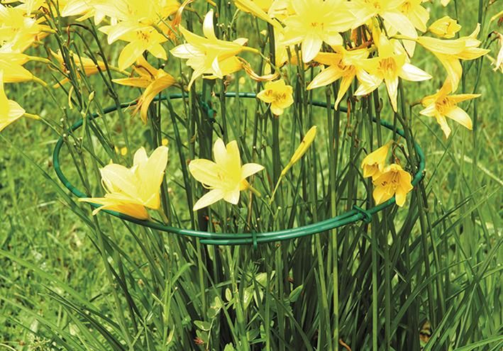 Staudenhalter 3er-Set variabel 35-50vm Floraworld