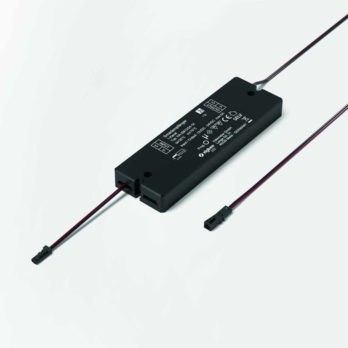 Smartempfänger 12VDC