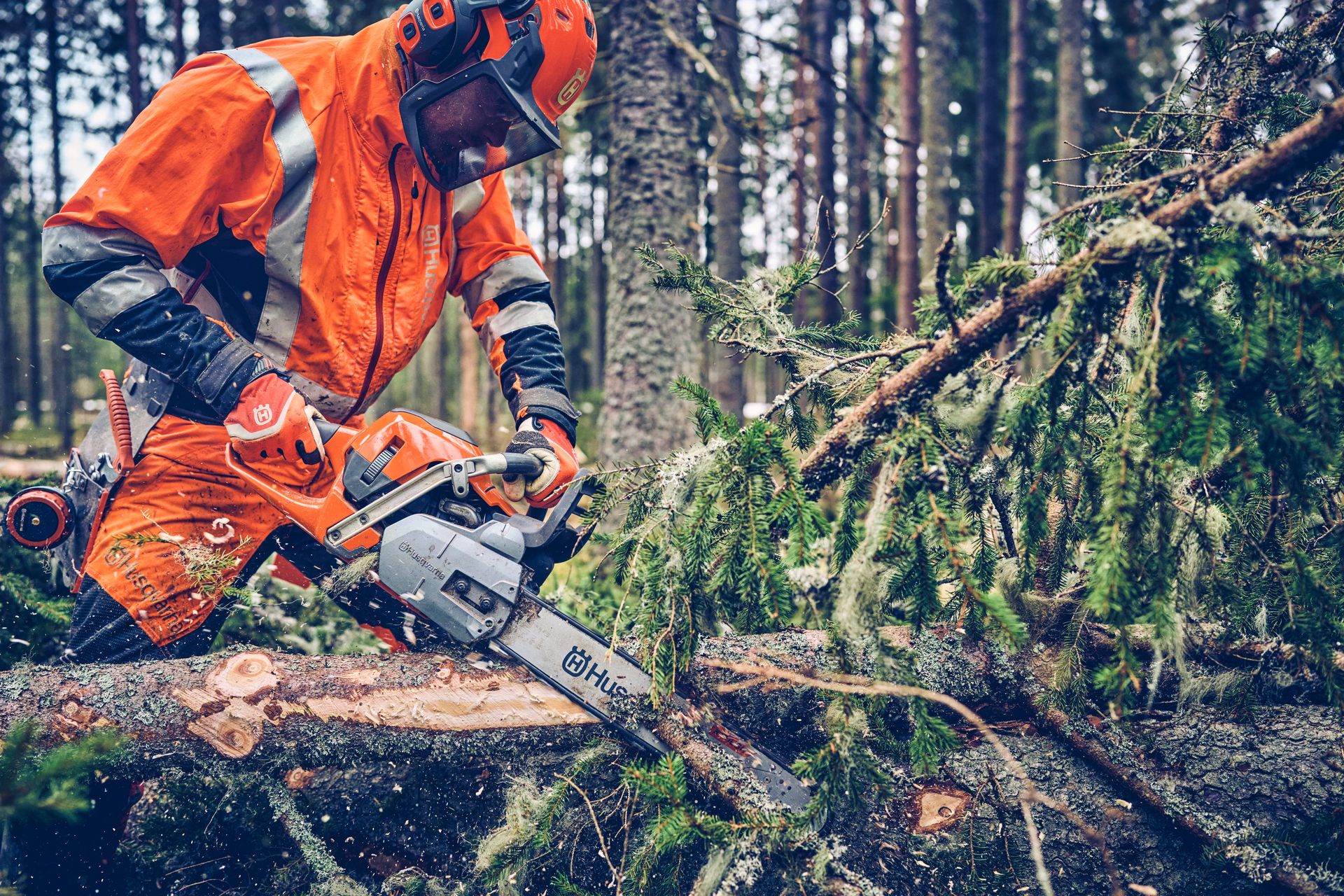 Husqvarna Motorsäge 560 XP® G Mark II 18"