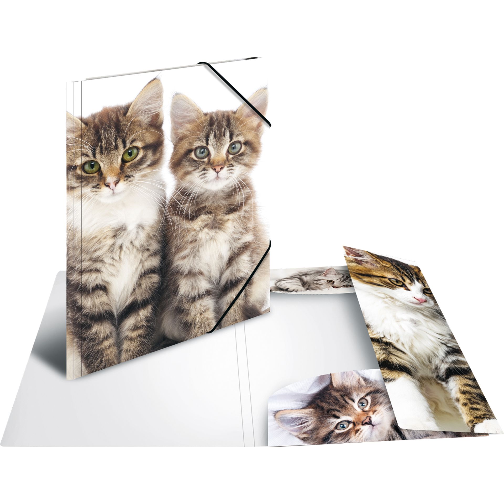 Sammelmappe A3 PP Katzen