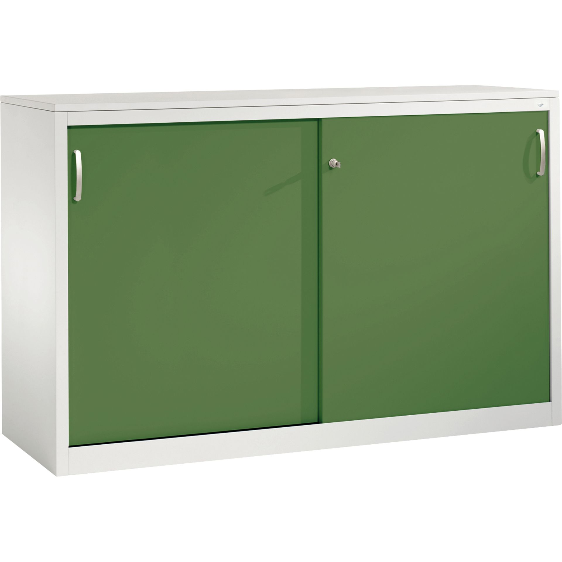 Akten-Sideboard 2x2OH 1000x1600x500mm lgr/rgn