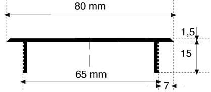 Stegblech 80x1000 mm, F1 Schlitzlochung 30x5 mm