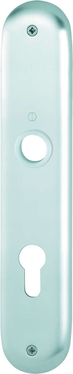 Hoppe/Schilder Verona 273 Pz F1 VE10