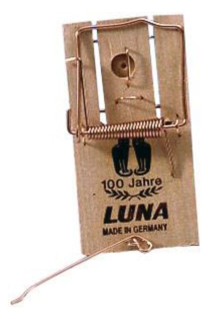 LUNA Holzmausefalle aus Buchenholz