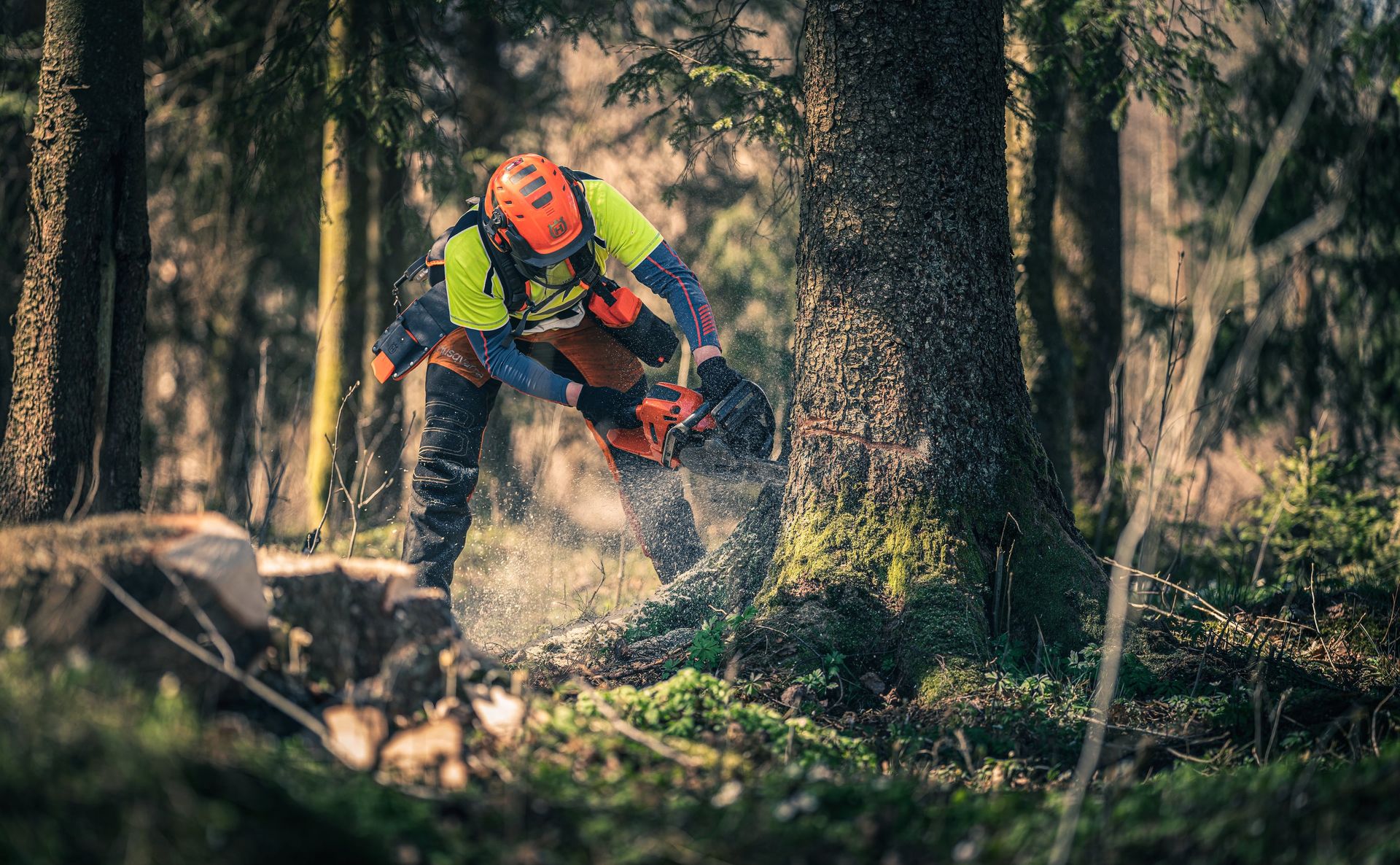 Husqvarna Motorsäge 560 XP® Mark II 15"