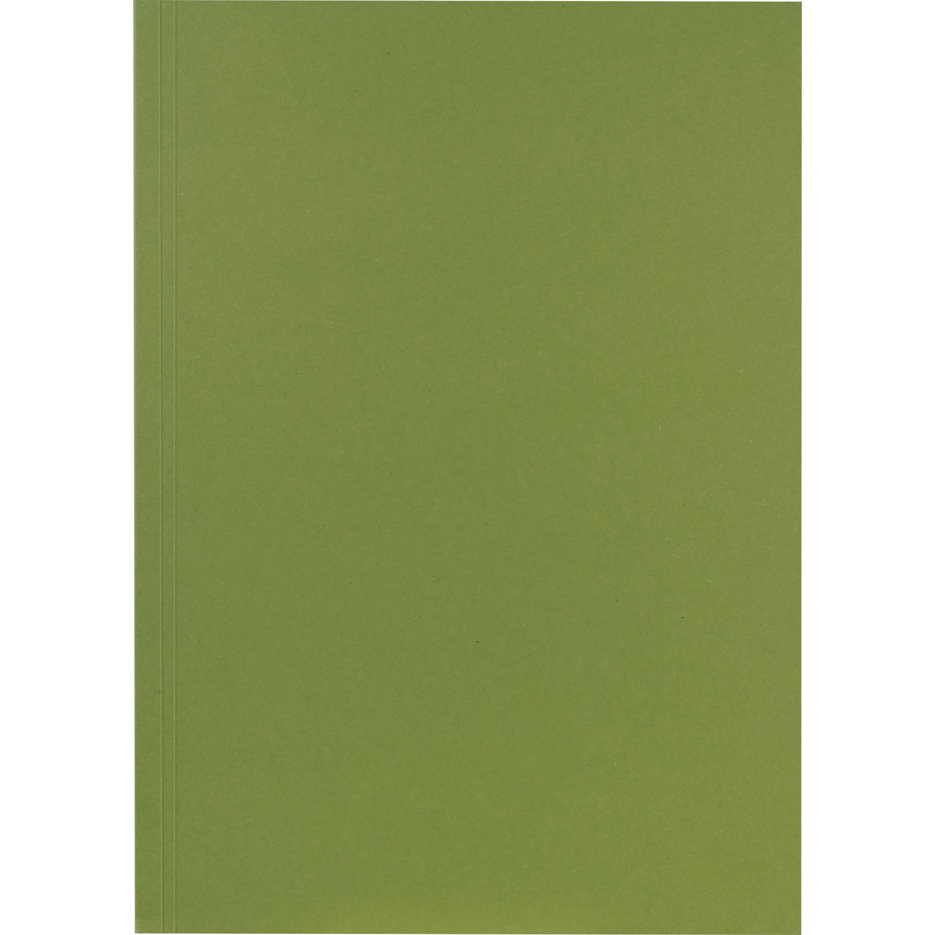 Aktendeckel 23x31,8cm 250g gn 100 St./Pack.