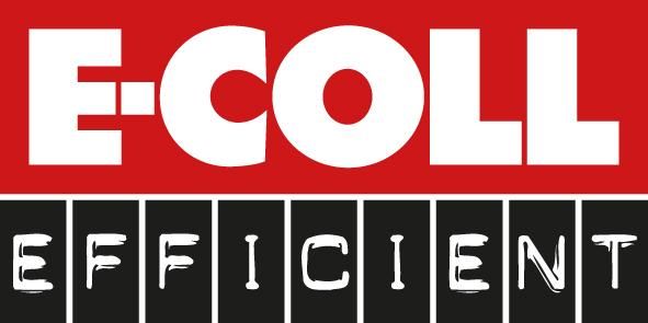 E-COLL Bremsenreinigerspray 500ml Efficient WE