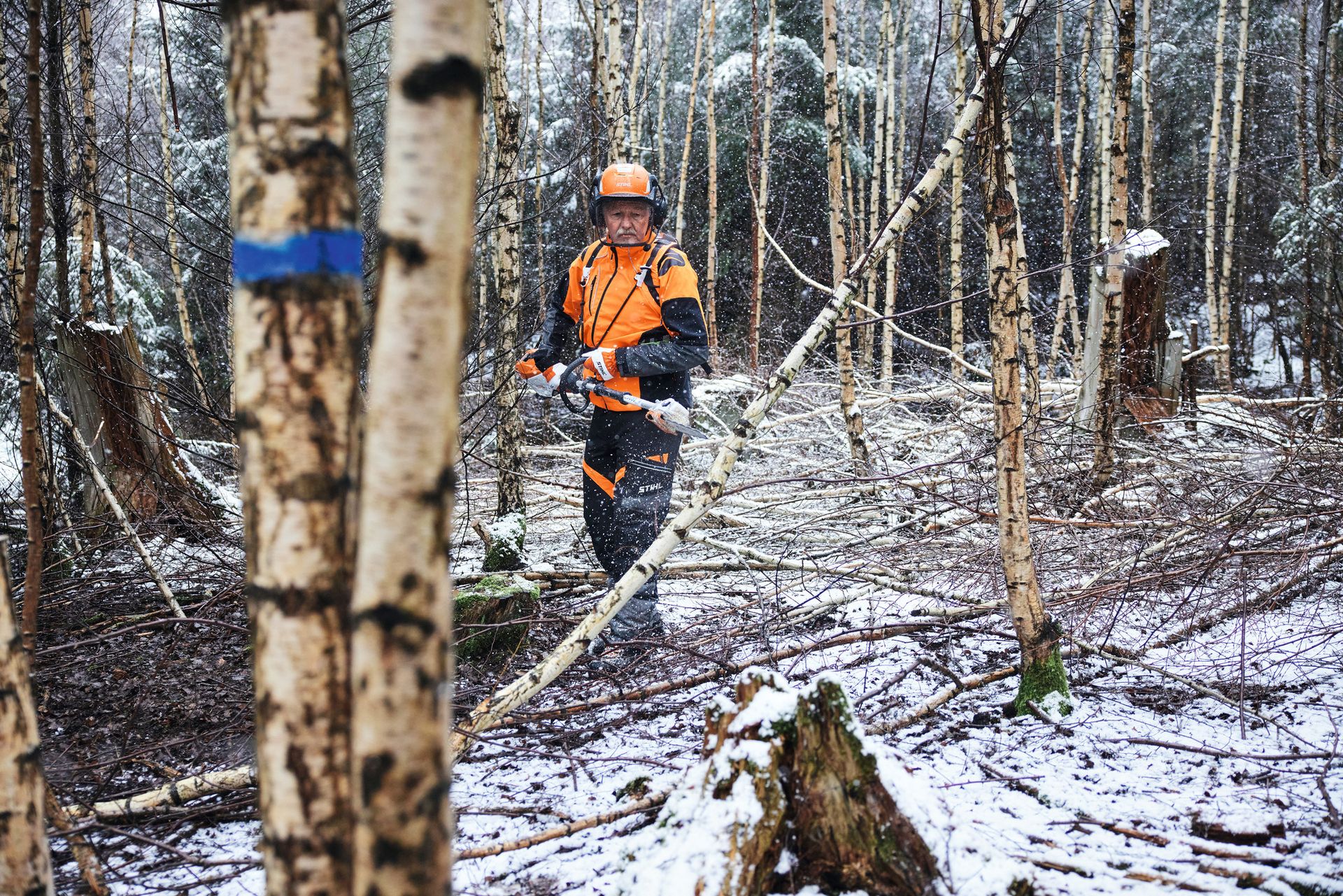 STIHL Akku-Hochentaster HTA 150 Forstvariante